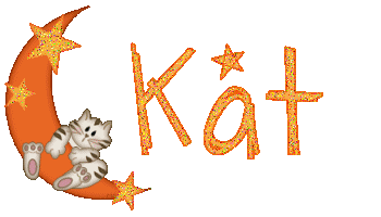 kittymoon.gif