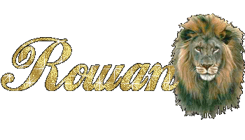 rowanlion.gif
